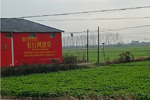 通许如何防止墙体广告褪色呢？