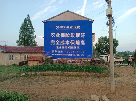 通许墙体广告为何受追捧？